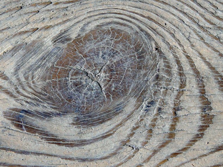 textures wood trä